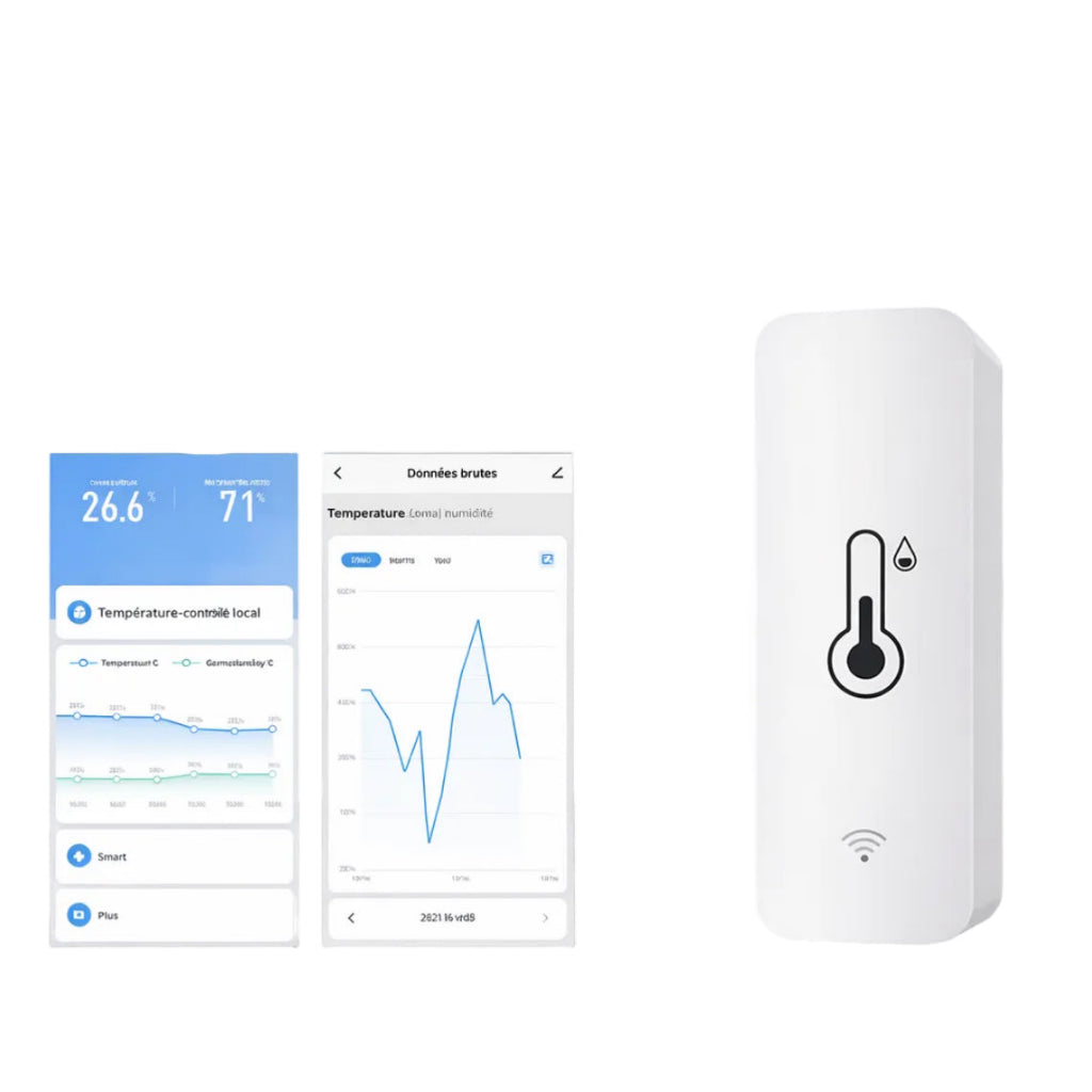 Hygromètre numérique intelligent WiFi